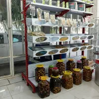 قفسه سالم ونو