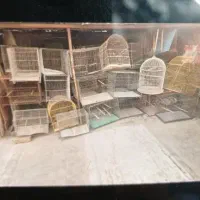 قفس پرنده