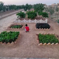 باغ جاده میقان روبه روی تالار کویر