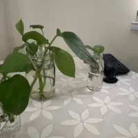 استخدام منشی مطب