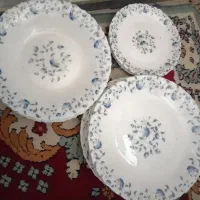 دو دست آرکوپال