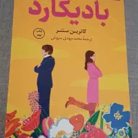 مجموعه تاج دوقلوها  کوییک سیلور.  بادیگارد