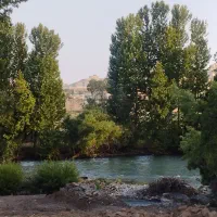 اجاره باغ جنگلی باغبهادران
