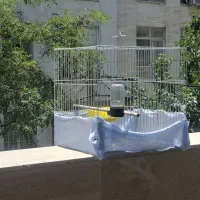 قفس و ظرف اب و غذا همراه غذا