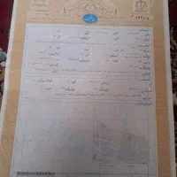 اجاره سند واسه آزادکردن زندانی
