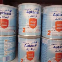 قوطی