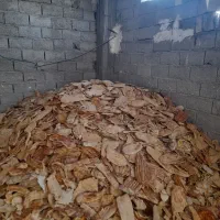 نان خشک مشکین شهر تناژبالا تحویل درب برای دامدارا