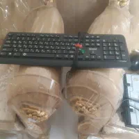 دستگاه دایویکس فلش، ‌خور