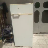 یخچال آزمایش 10 فوت