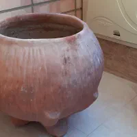گلدان بزرگ درختی