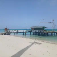 دورهمی جزیره