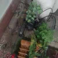 لوازم آکواریوم