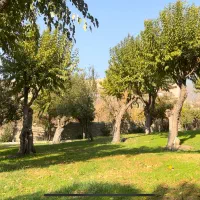 سرایت داری و اب و خوراک دادن پرندگان