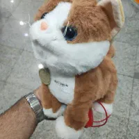 گربه و سگ کنترلی
