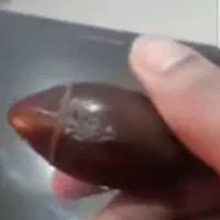 سنگ قدیمی|جواهرات|تهران, نصرت|دیوار