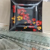ظرف پذیرایی