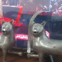 شیر علم و علامت