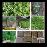 سبزی خورشتی رامهرمز