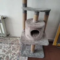 باکس گربه