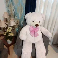 دو عدد خرس عروسکی بزرگ