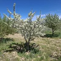 اگهی استخدام نگهبان