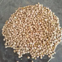 نخودتمیز 15کیسه