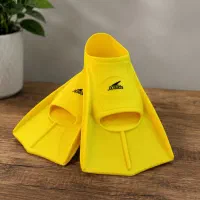 فین شنا