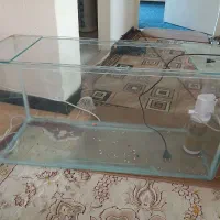 آکواریم