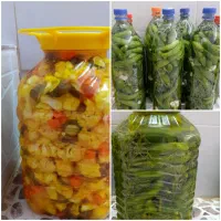 خیار شور  وترشی