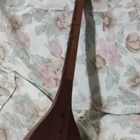 چوب گردو