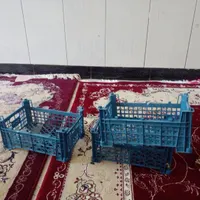 سبد جای میوه