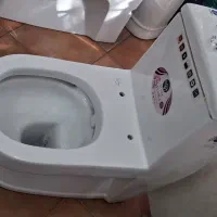 فرنگی یزدقیمت عمده  خروجی ۱۰