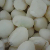 پودر سیر درجه یک