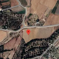 زمین-کشاورزی-واقع-در-قلعه-آقا-حمید