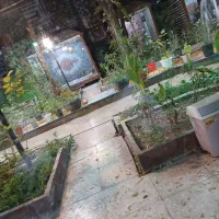 نظافتچی خانم از ساعت ۹ صبح تا ۱