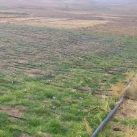 زمین-با-کاربری-کشاورزی