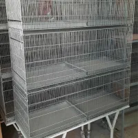 قفس قناری فروشی