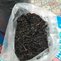 فروش چای درجه ۱