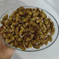 توت خشک