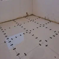 سنگ کاشی با ۲۰ سال تجربه کار