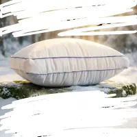 بالش طبی مخصوص دیس کمر
