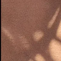 ۲۴مترموکت