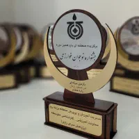 تولید انواع تندیس های سازمانی و ارگانی