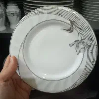 سرویس چینی ۱۲ نفره مارک اسپیدار