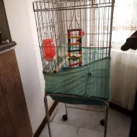 قفس پرنده کاسکو یا عروس