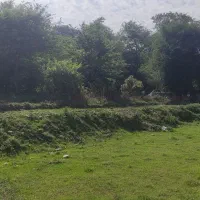 مشاوره در زمینه سرمایه‌گذاری در استان مازندران