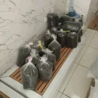 برنج