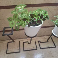 استند گل