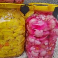 ترشی‌خونگی خوش‌عطر‌و‌کاملا‌طبیعی