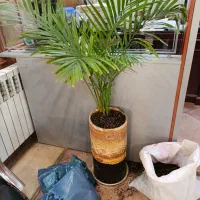 خدمات باغبانی ویژه ۰ تا ۱۰۰ در تمام نقاط تهران